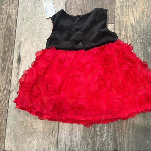 The Children’s Place TCP Black Velvet W/red Mesh Roses Dress 0-3 Months NWT - Picture 4 of 4